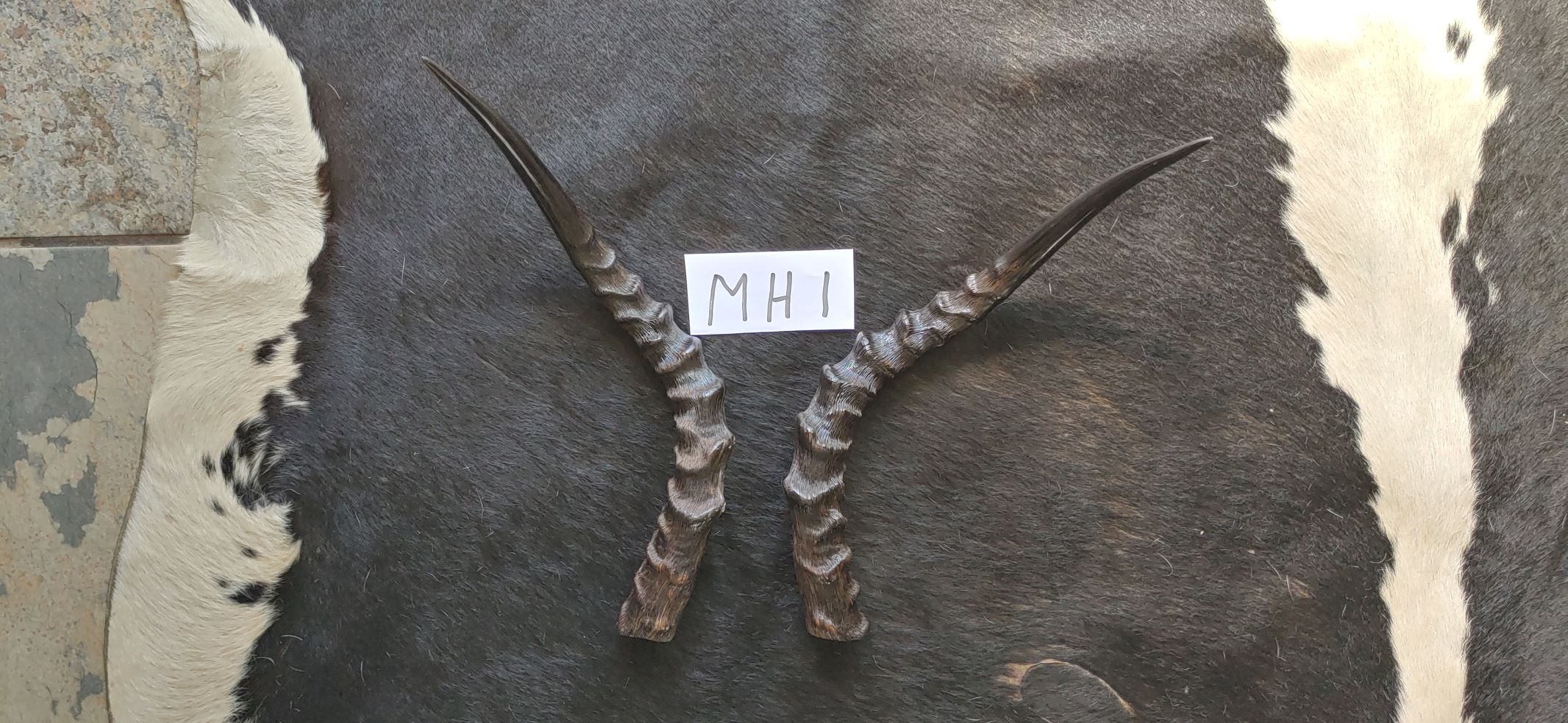 MH 1 F Page MH 1 F Page