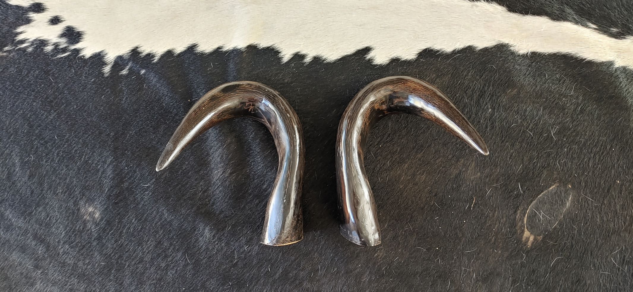 Mounted Horns MH 2 Mounted Horns MH 2