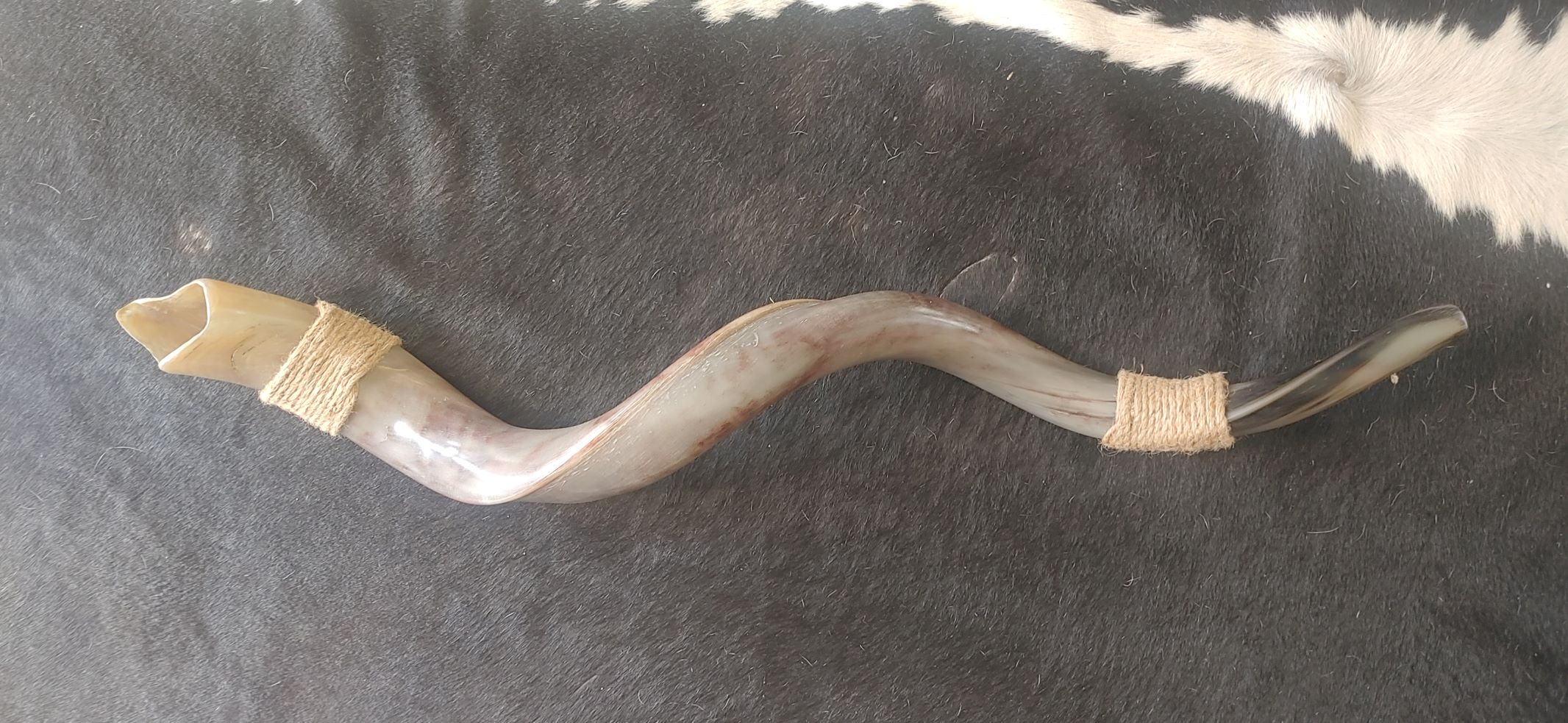 Shofars