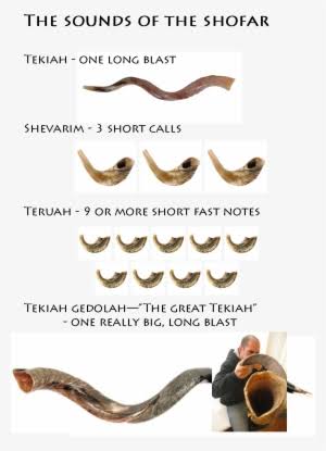 Sounds of the Shofar Resized Sounds of the Shofar Resized