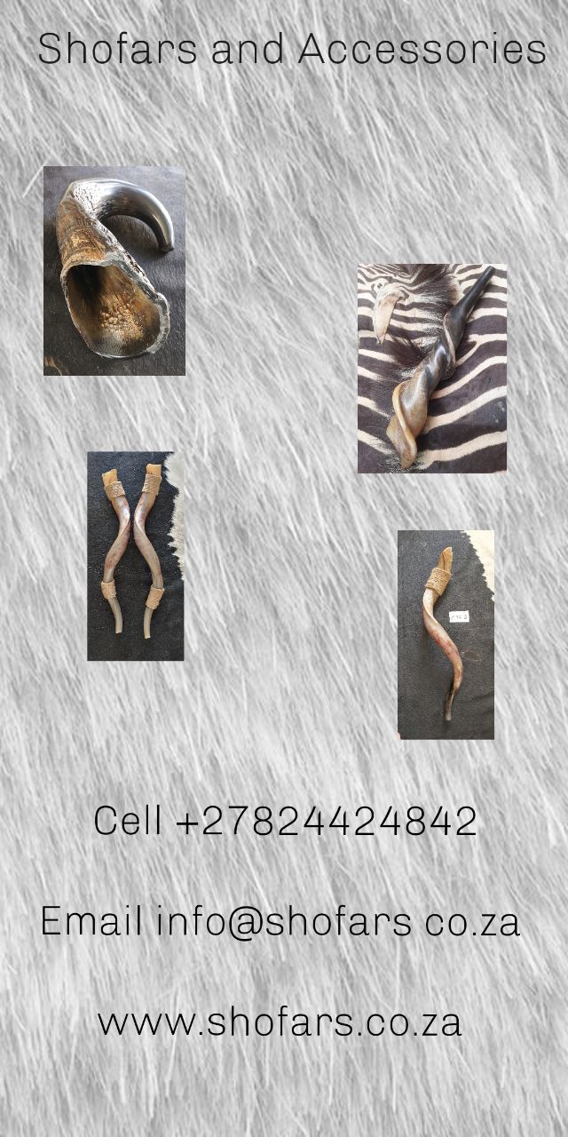 Business Card Business Card