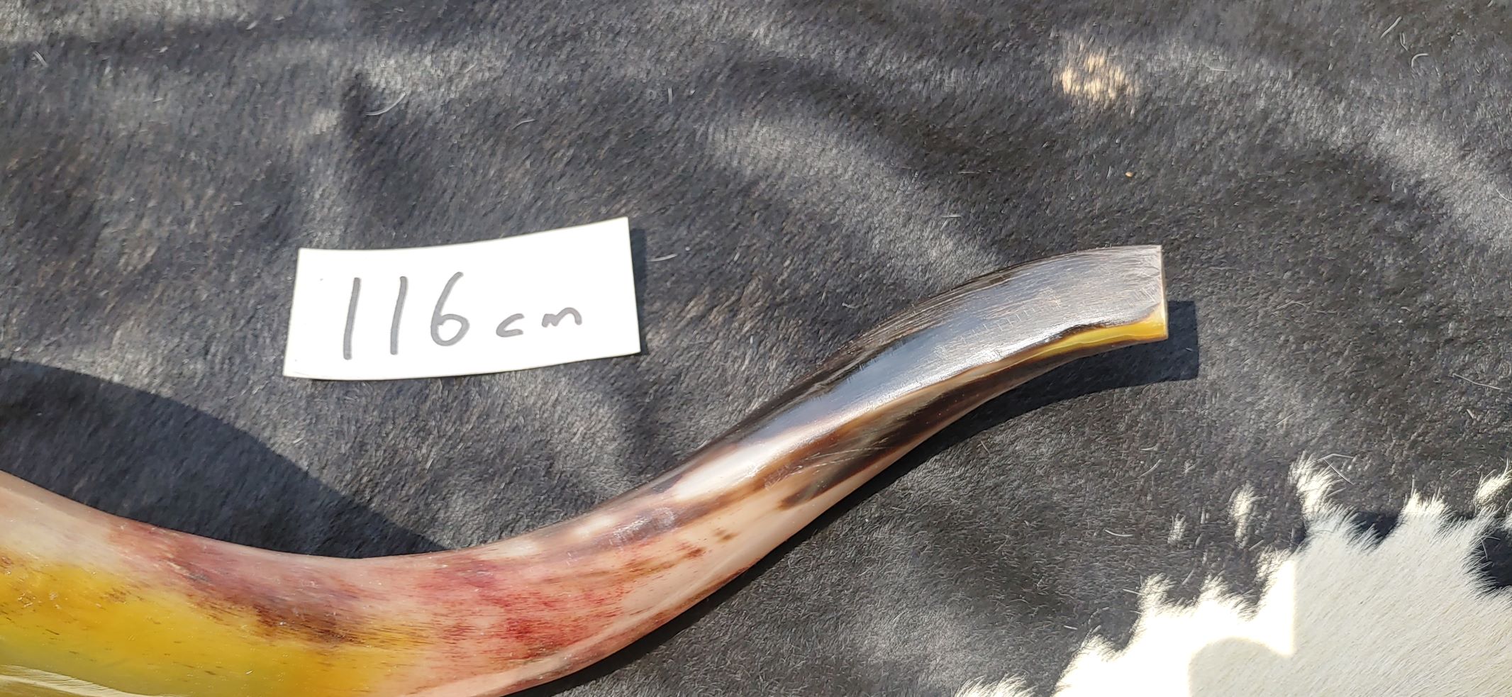 KAA01 c KAA01 c