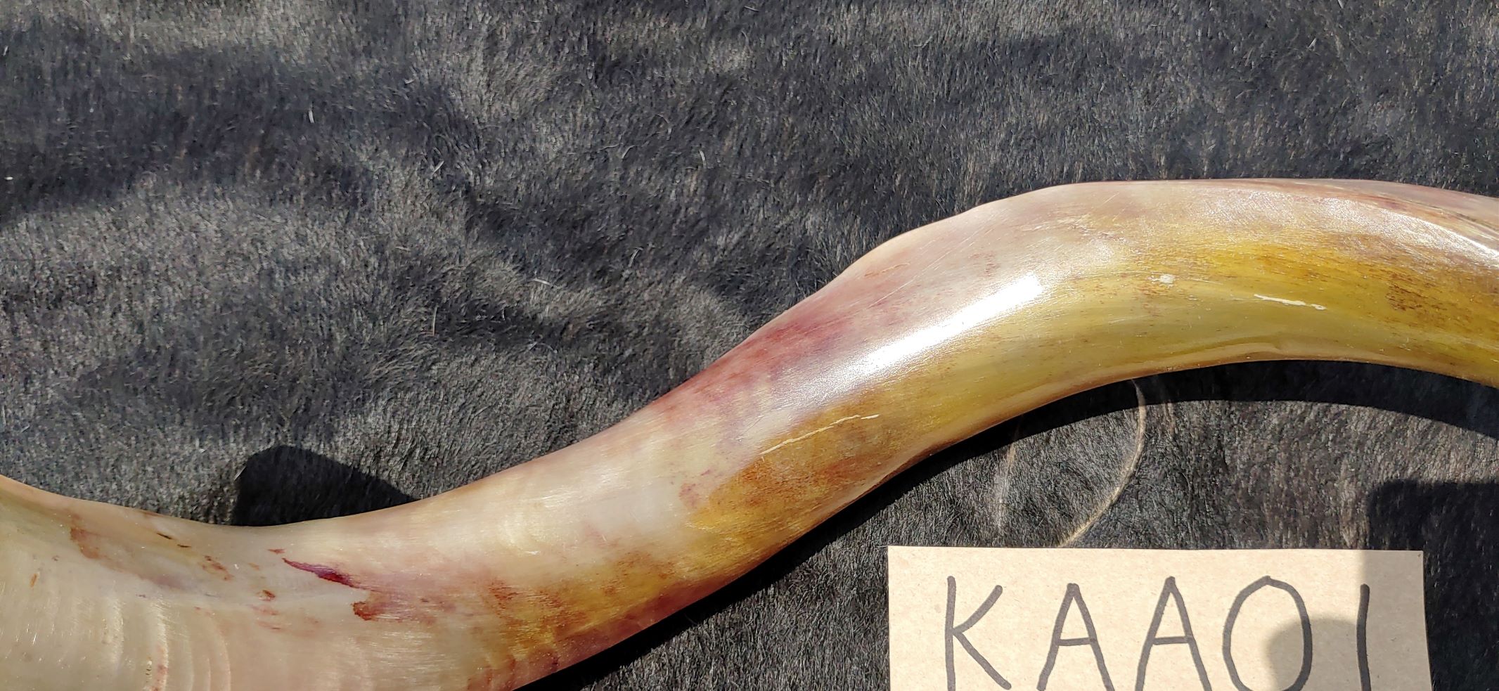 KAA01 d KAA01 d