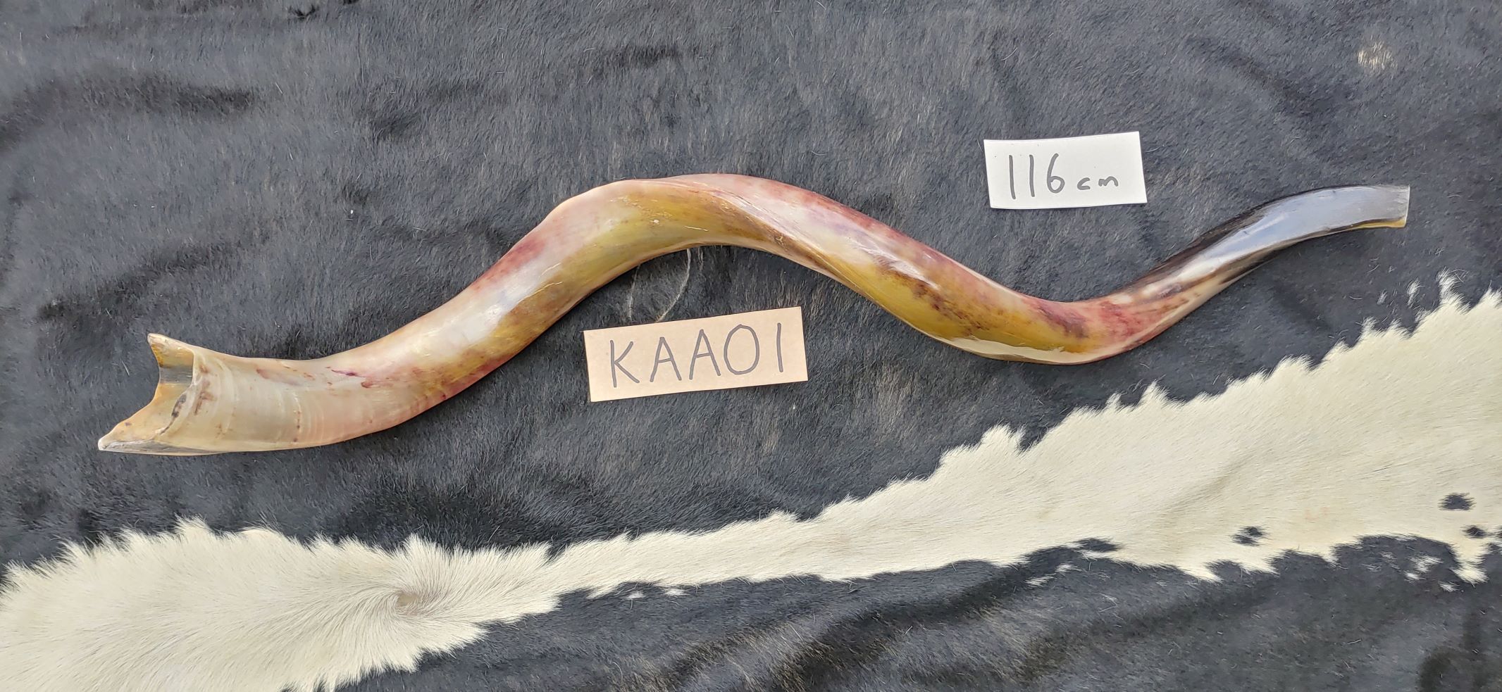 KAA01 f KAA01 f