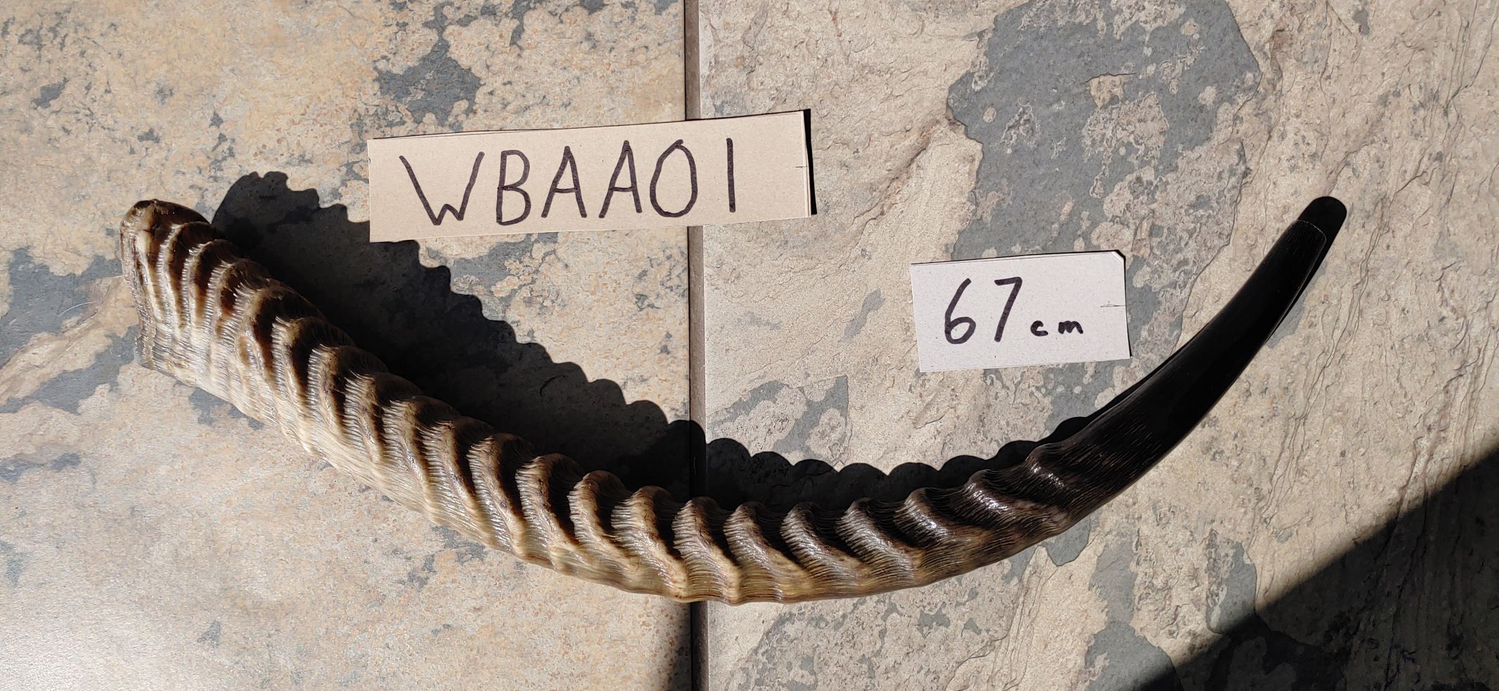 WBAA01a