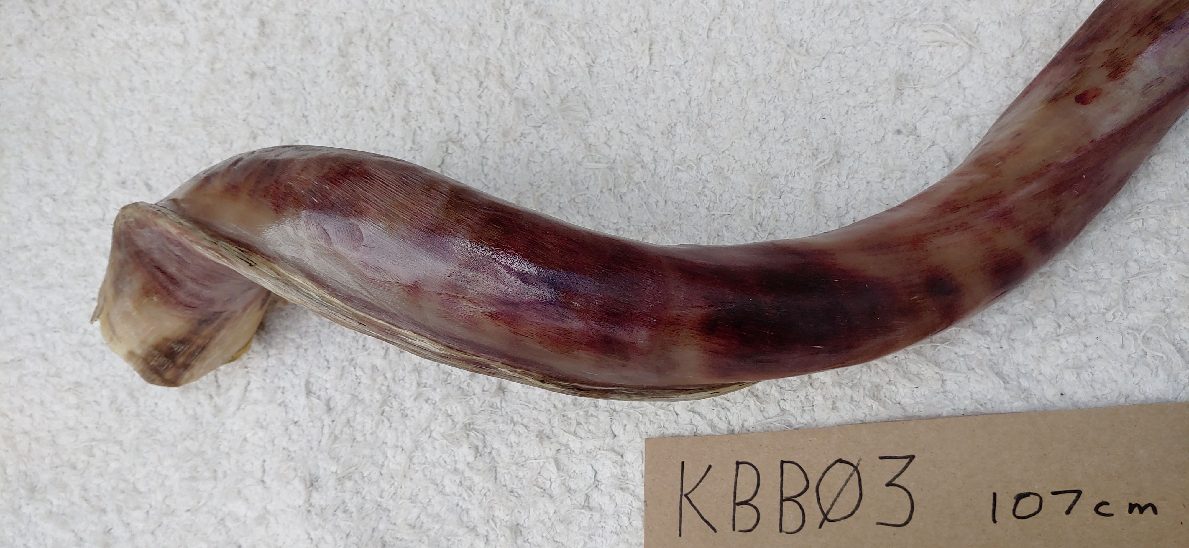 KBB03f
