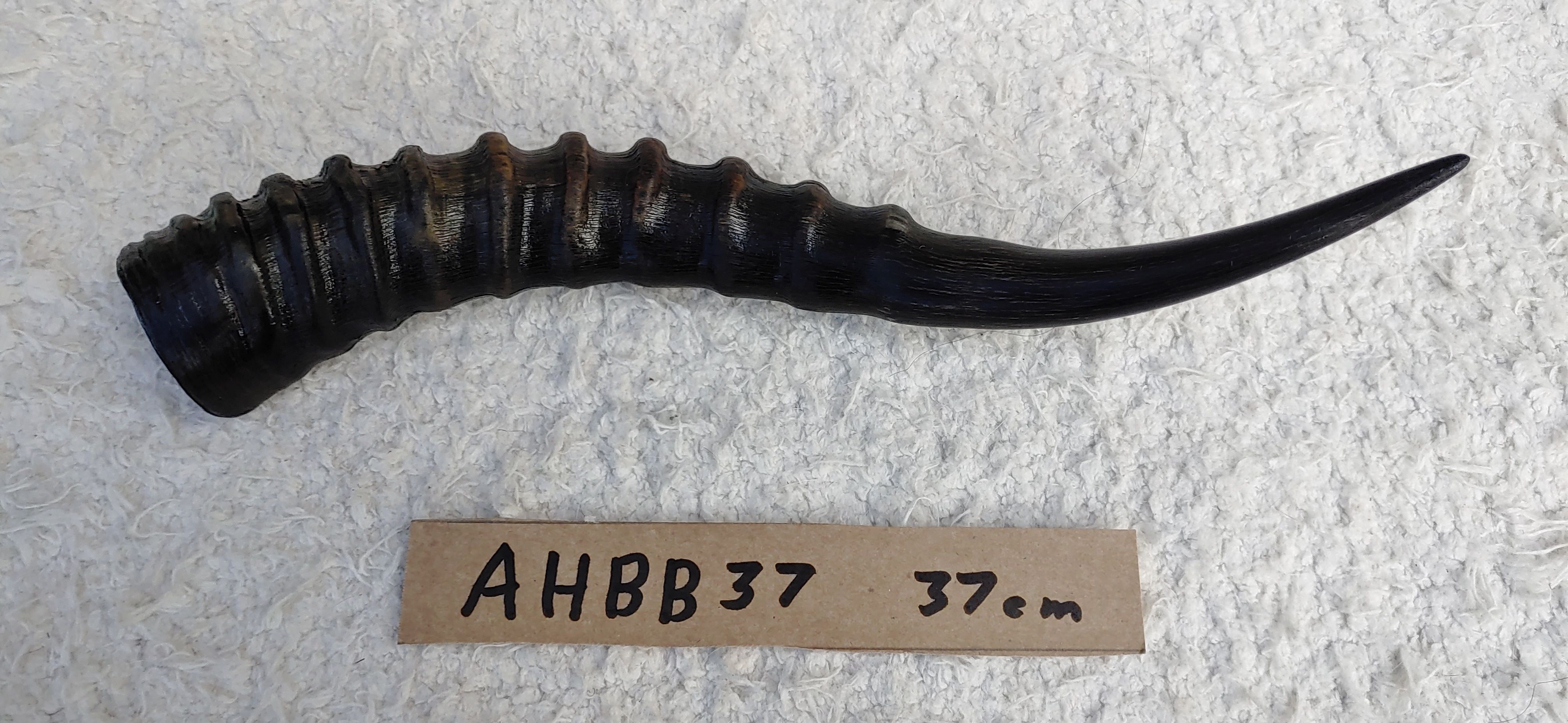 AHBB37d