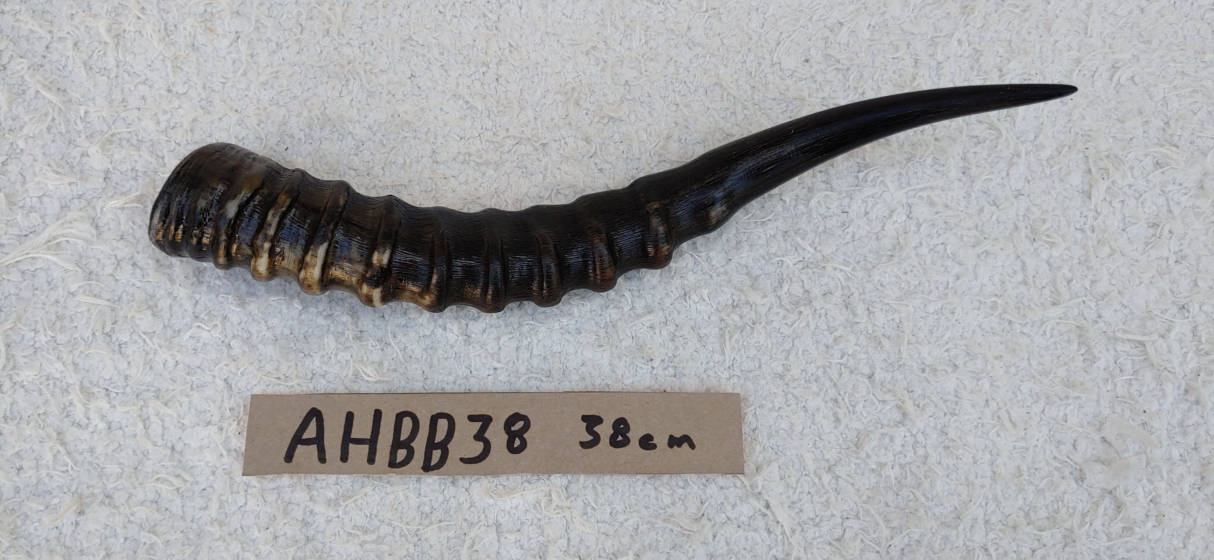 AHBB38b