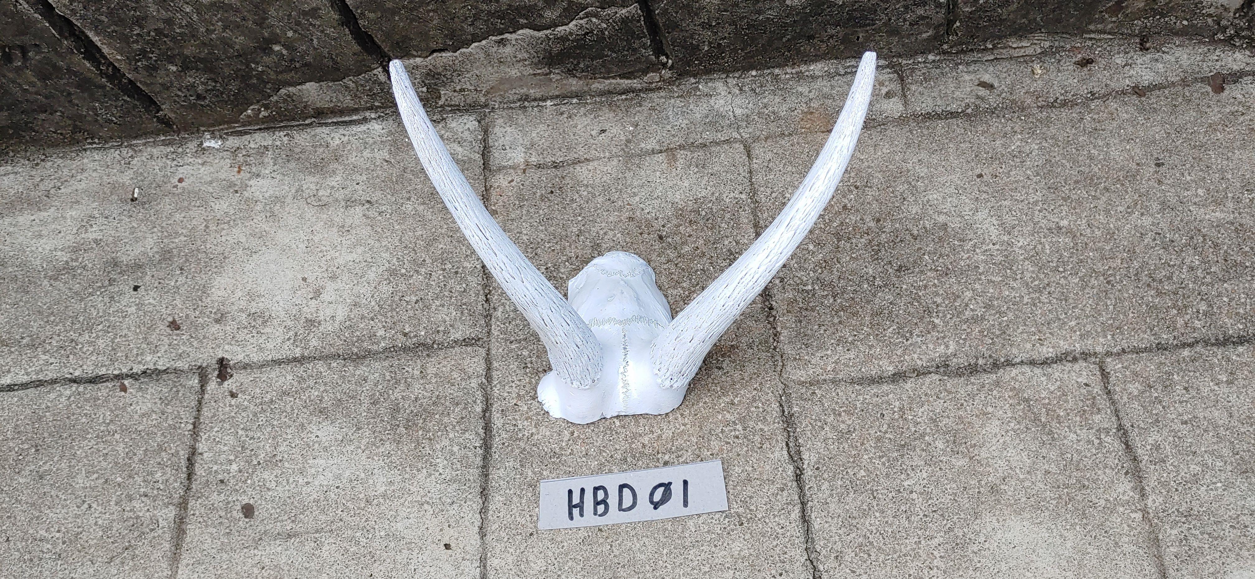 HBD01bb