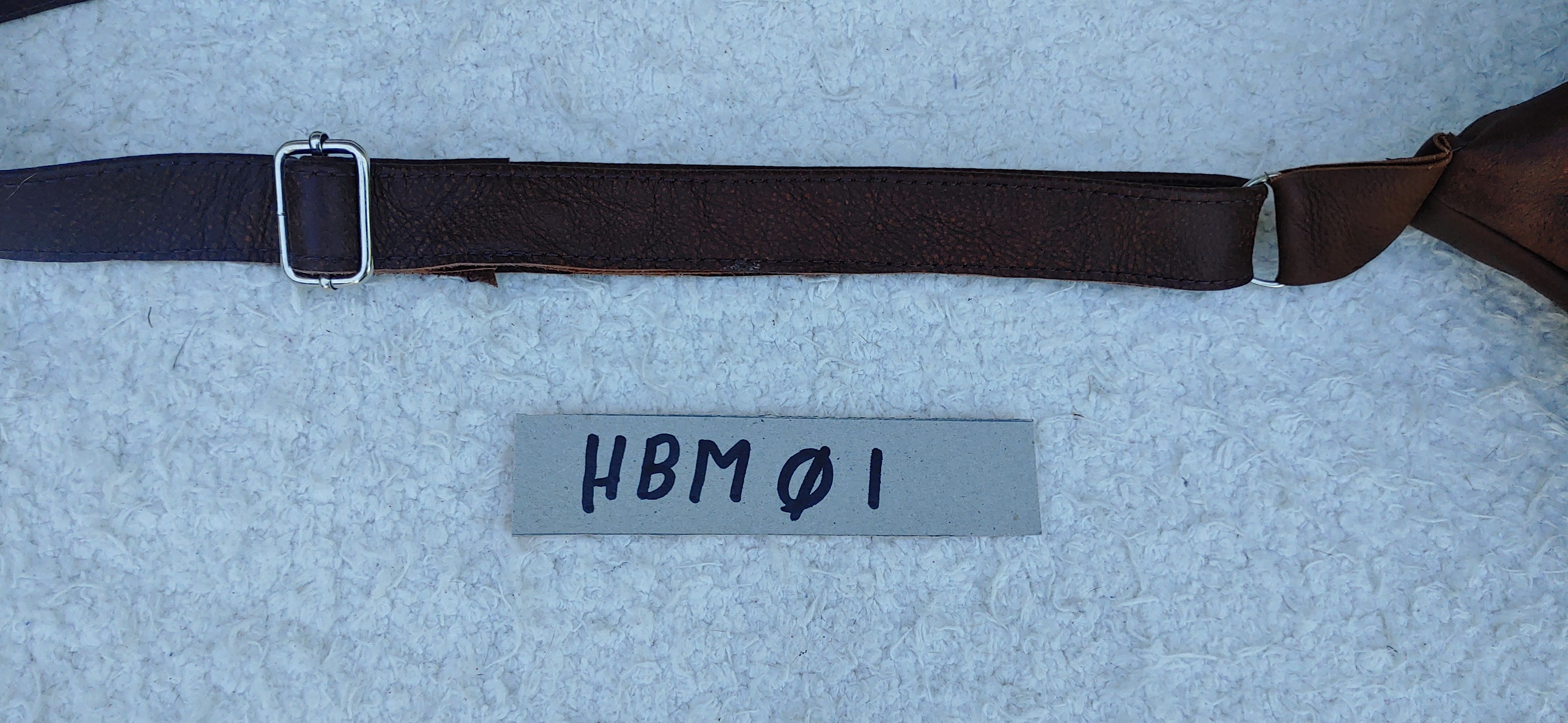 HBM01b